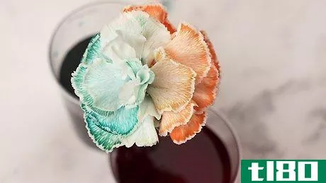 Image titled Dye Carnations Step 12