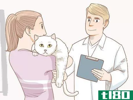 Image titled Diagnose and Treat Hyperesthesia Syndrome in Cats Step 7