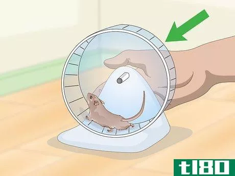 Image titled Exercise Your Gerbil Step 1