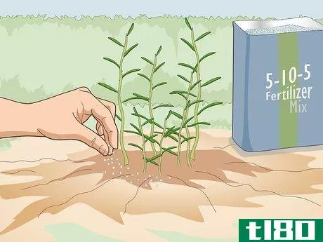 Image titled Fertilize Herbs Step 10