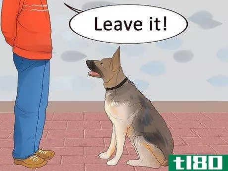 Image titled Dine Out with Your Dog Step 6