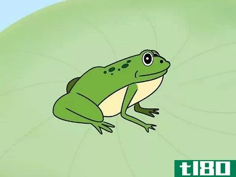 如何画一只青蛙(draw a frog)