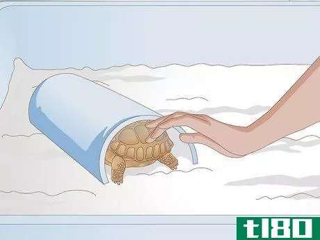Image titled Diagnose Stomatitis in Tortoises Step 2