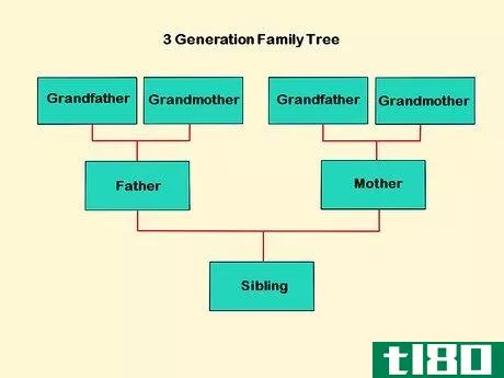Image titled Design a Family Tree Step 9