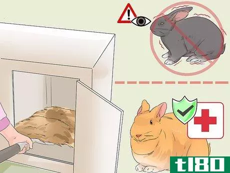 Image titled Diagnose Ear Mites in Rabbits Step 4