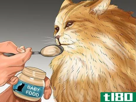 Image titled Encourage Your Cat to Eat Step 9