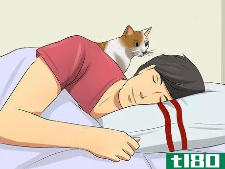 Image titled Encourage Your Cat to Go to Sleep Step 10