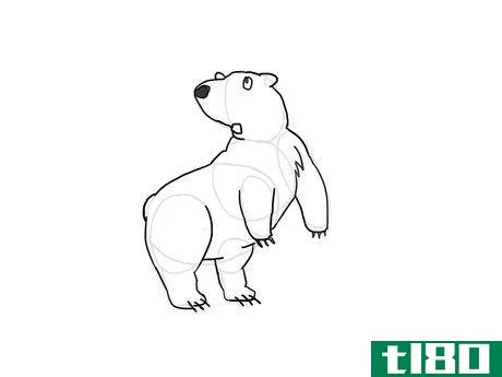 Image titled Draw a Polar Bear Step 7