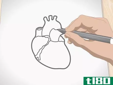Image titled Draw a Human Heart Step 7