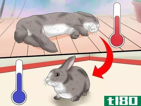 Image titled Treat Heat Stroke in Rabbits Step 1
