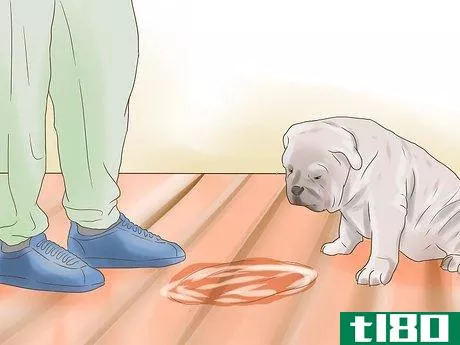 Image titled Get Dog Smell Out of a Basement Step 13