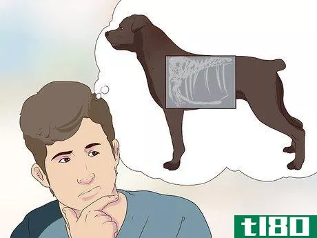Image titled Diagnose Coughing in Dogs Step 9