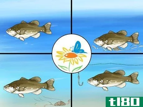 Image titled Fish for Bass Step 1