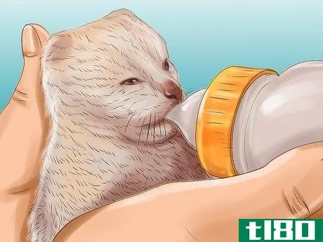 Image titled Feed Newborn Kittens Commercial Milk Replacer Step 9