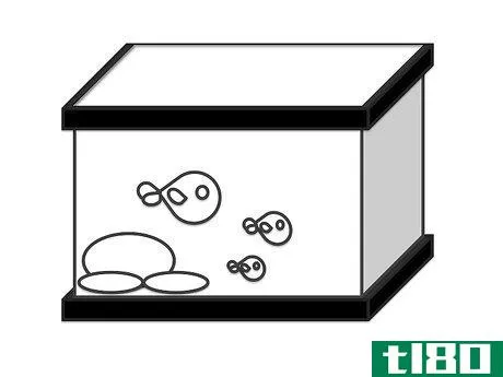 Image titled Draw Fish in a Fish Tank Step 5