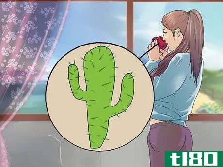 Image titled Drink Cactus Water for Health Step 4