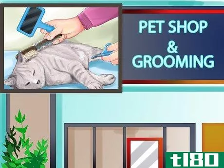 Image titled Find a Professional Cat Groomer Step 3
