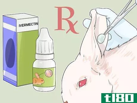 Image titled Diagnose Ear Mites in Rabbits Step 7