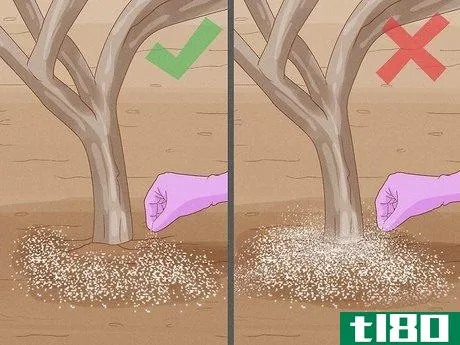 Image titled Fertilize an Apple Tree Step 9