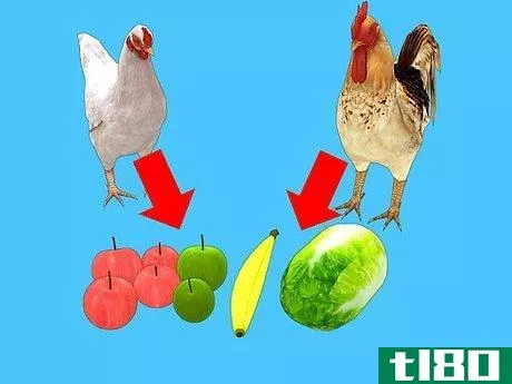 Image titled Feed Chickens Organically Step 1
