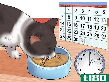 Image titled Encourage Your Cat to Go to Sleep Step 7