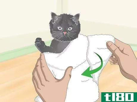 Image titled Eliminate Roundworms in Cats Step 6