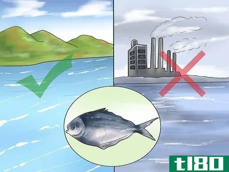 Image titled Eat Fish During Pregnancy Step 3