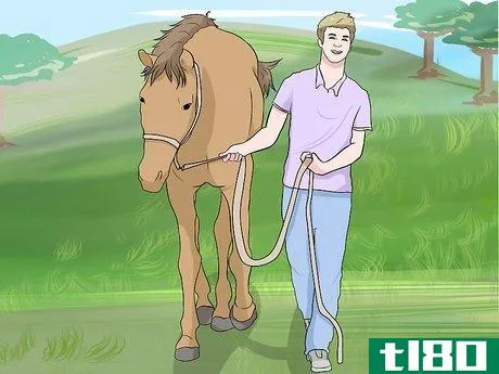 Image titled Gain the Trust of a Recently Abused Horse Step 10