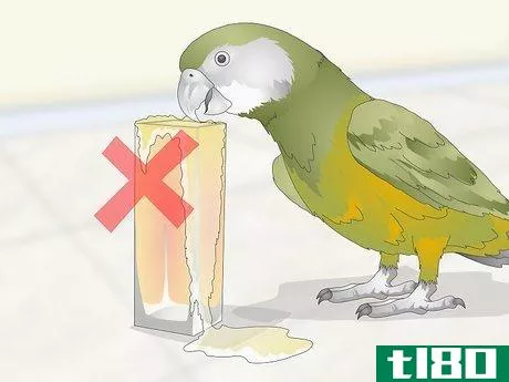 Image titled Feed a Senegal Parrot Step 12