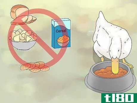 Image titled Feed Ducks Step 11