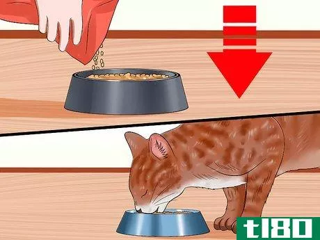 Image titled Ensure That Your Cat Finishes Its Food Step 8