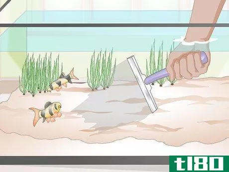 Image titled Do a Water Change in a Freshwater Aquarium Step 5