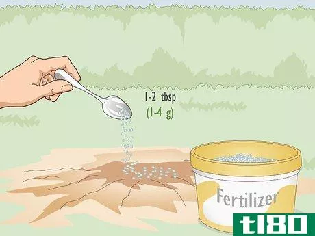 Image titled Fertilize Herbs Step 5