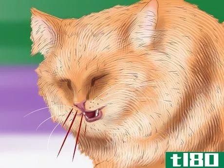 Image titled Diagnose Seasonal Allergies in Cats Step 6