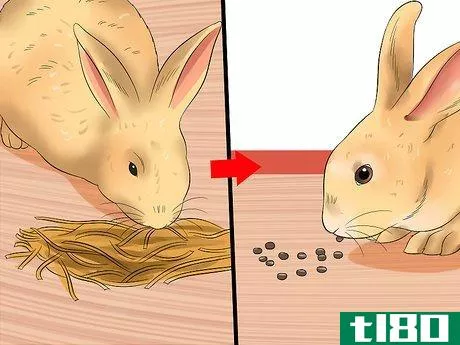 Image titled Diagnose Digestive Problems in Rabbits Step 9