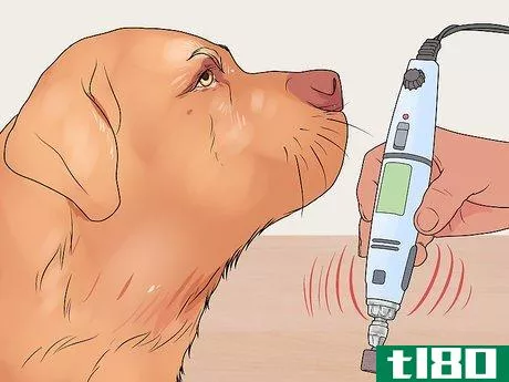 Image titled File a Dog's Nails Step 5