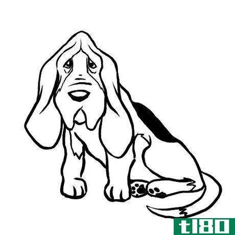 Image titled Basset hound erase Step 7