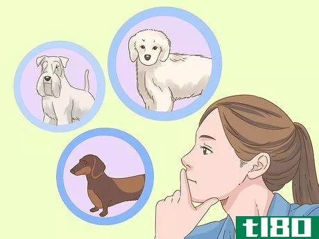Image titled Detect Diabetes in Dogs Step 3