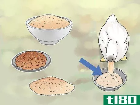 Image titled Feed Ducks Step 9