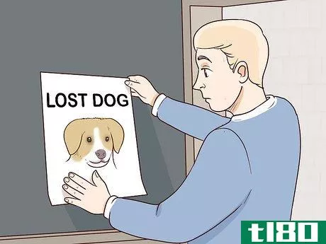 Image titled Find a Lost Dog Step 23
