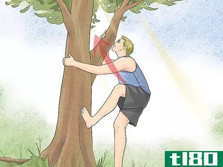 Image titled Free Climb a Tree Step 4