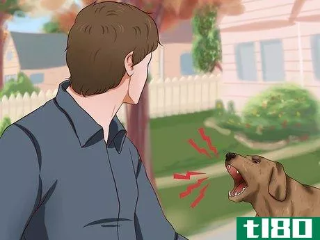 Image titled Get Dogs to Stop Barking Step 11