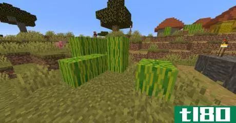 Image titled Find melon seeds in minecraft step 10.png