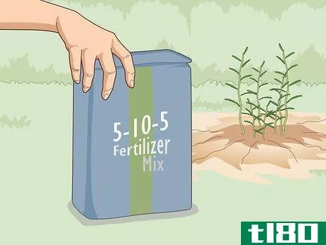 Image titled Fertilize Herbs Step 9