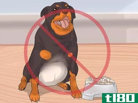 Image titled Diagnose Arthritis in Rottweilers Step 13