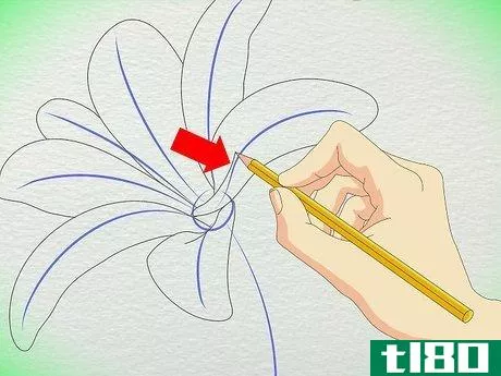 Image titled Draw a Lily Step 3