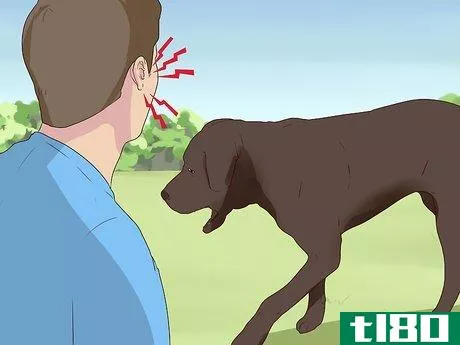 Image titled Diagnose Coughing in Dogs Step 3