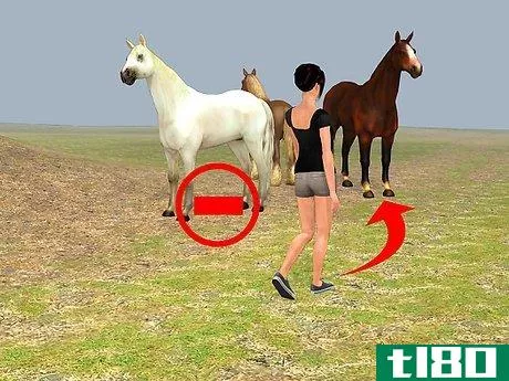 Image titled Easily Catch Your Horse Step 3