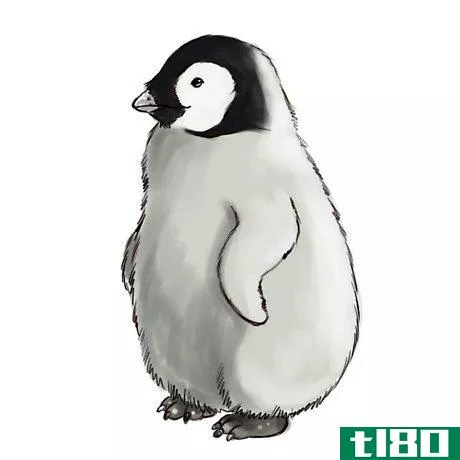 Image titled Baby penguin Intro