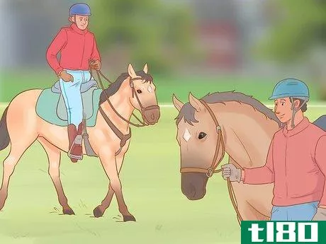 Image titled Find out Why a Horse Is Crow Hopping Step 13